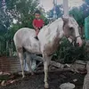 Rene Prieto - @rene.prieto7 - TikTok