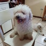 René Quesada - @mquesada62 - Instagram