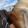️ - @renequesada - TikTok