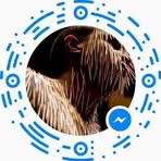 Rene Reeves - Facebook