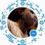 Rene Reeves - @reeves_rene - Instagram