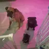 Rene Rey - @rey0s0 - TikTok