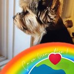 Renée Rivard - @renee.rivard.77 - Instagram
