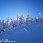 René Robitaille - @robitaille.rene - Instagram