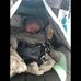 Rene Robitaille - Facebook