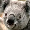 rene rosales - @rene.rosales91 - TikTok