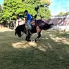 Rene Rosales - @rene.rosales485 - TikTok