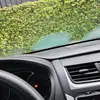 Rene Rosas - @user48472583 - TikTok