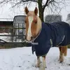 user2411719682905 - @renerosenthal1 - TikTok