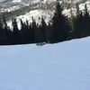 Rene_schwartz - @rene_schwartz - TikTok