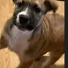 ReneeSchwartz - @eusebwhpmx3 - TikTok