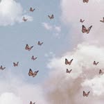 nyqi - @rene_steenkamp_ - Instagram