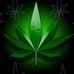 Rene Steen - Facebook