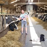 René Steenbergen - @renesteenbergen - Instagram
