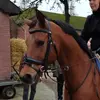 Rene Steenssens - @rene.steenssens - TikTok