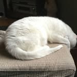 renesteenwijk - @renesteenwijk3 - Instagram