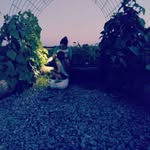 Kelsey Rene Sutton - @green_dandelion_homestead - Instagram