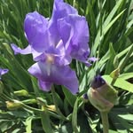 René Sutton - @renesutton - Instagram