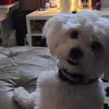reneesutton549 - @reneesutton549 - TikTok