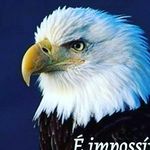 Rene Tavares - @renetavares2021 - Instagram