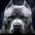 Rene Tavares - Facebook