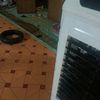 Rene Tavares - @rene.tavares81 - TikTok