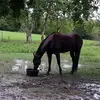 Rene Trejo - @rene.trejo81 - TikTok