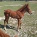 Rene Trejo - Facebook