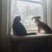 Rene Trudeau - Facebook