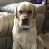 Renee Trudeau - @renee.trudeau - TikTok