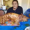 Wei Rene Viau Fonua - @weireneviaufonua - TikTok