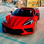 Rene Viera - @vice_city_vetts - Instagram