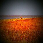 René Voss - @ervaues - Instagram
