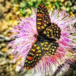 René Voss - @renevoss - Instagram