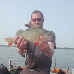 RENE WARDIUS - @rene_wardius - Instagram