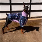 Rene' Warren • Entrepreneur - @velcro_dobes - Instagram