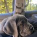 Renee Warren - Facebook
