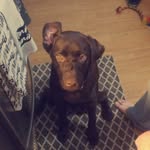 Pasley Renee Yeager - @pasleyreneeyeager - Instagram