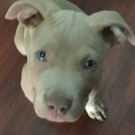 Brookelyn Renea Hall - @brookelynreneahall - Instagram
