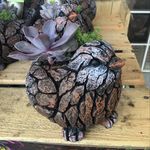 Renee Adamson - @r_squared6508 - Instagram