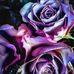 Renee Amato - Facebook