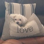 Renee Clethero-Ames - @rames0980 - Instagram