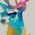 Renee Andersen - Facebook