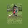 reneeanthony1791 - @reneeanthony1791 - TikTok
