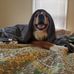 Renee Ashmore - Facebook