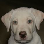 Renee auger Gregory - @tahoe0611 - Instagram
