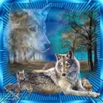 Renee Ball - Facebook