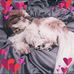 Renee Barham - Facebook
