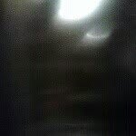 Renee - @barhamrenee251 - Instagram