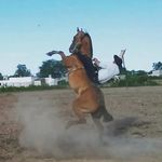 René Barrera - @reneb7042 - Instagram